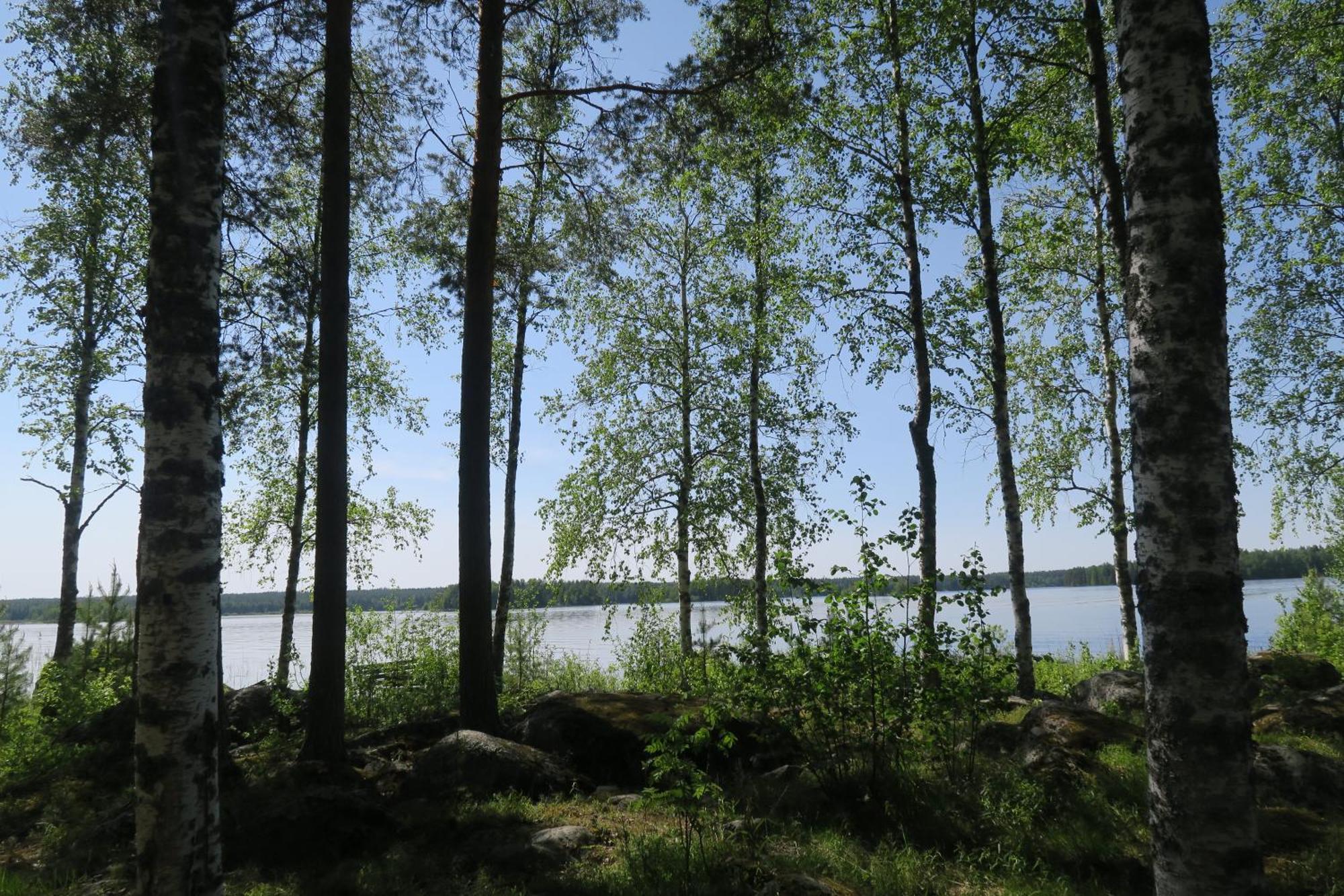 Marjoniemi Camping Hiidenniemi Eksteriør billede